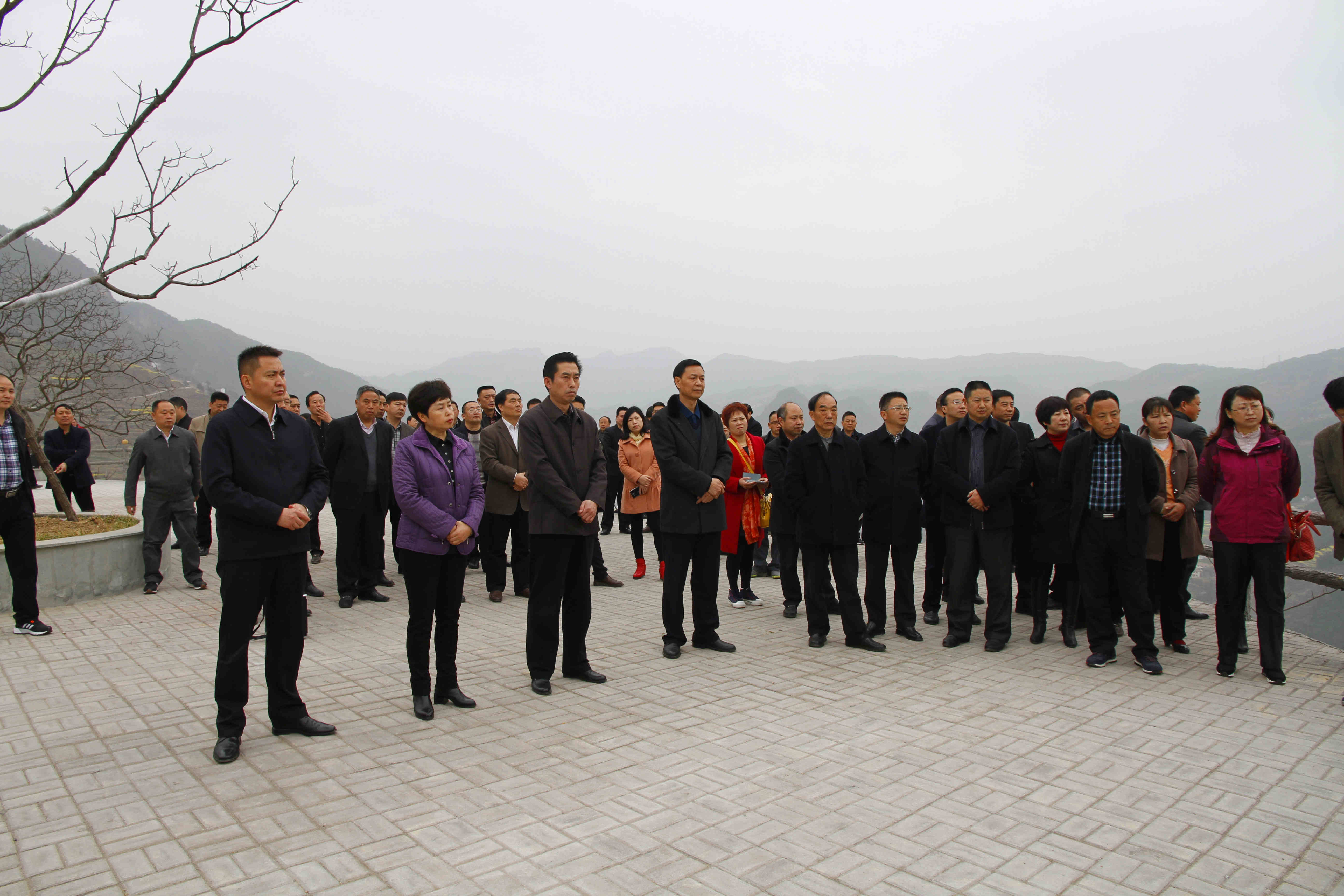 区"两会"代表,委员共阅经济社会发展成果