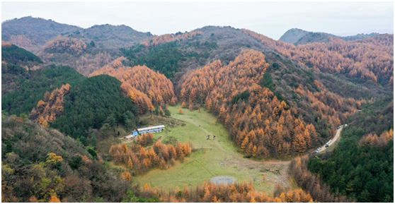 进一步做靓"蜀道亚高原 康养曾家山"旅游品牌