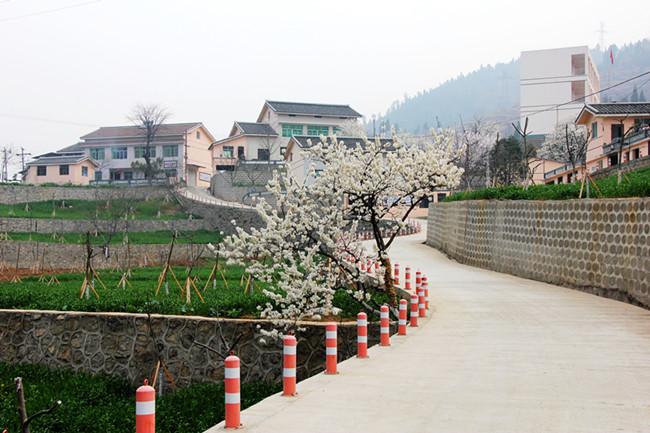 沙河镇望云村2010年新农村建设一隅