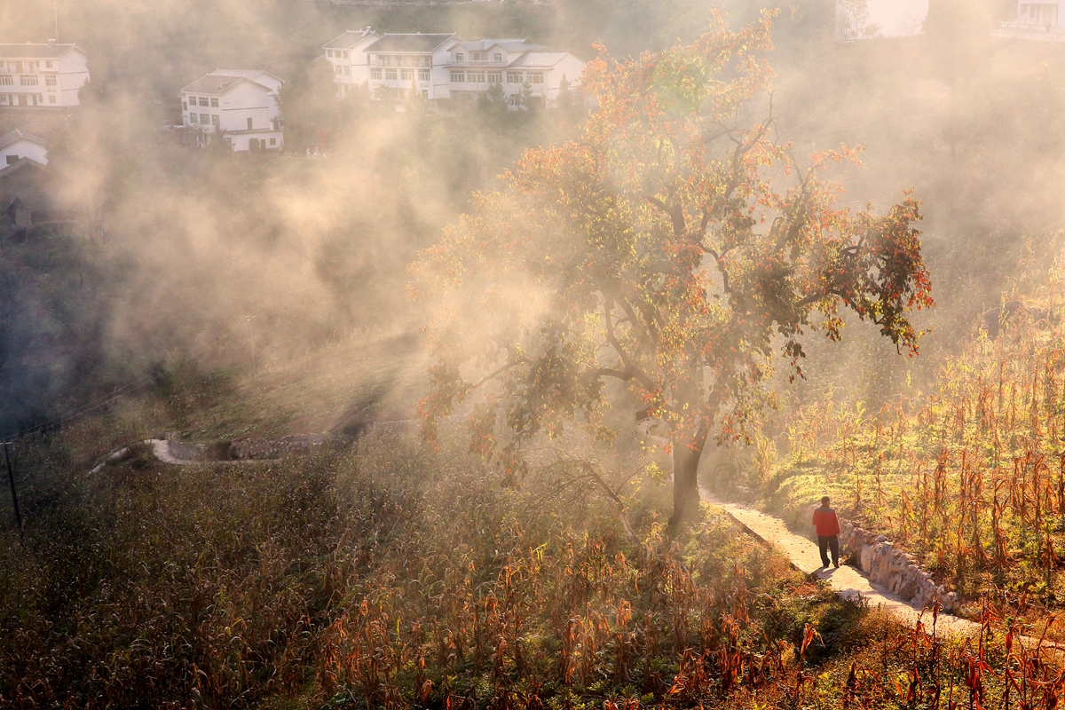 二等奖作品《农田秋烟醉游人》——刘光明